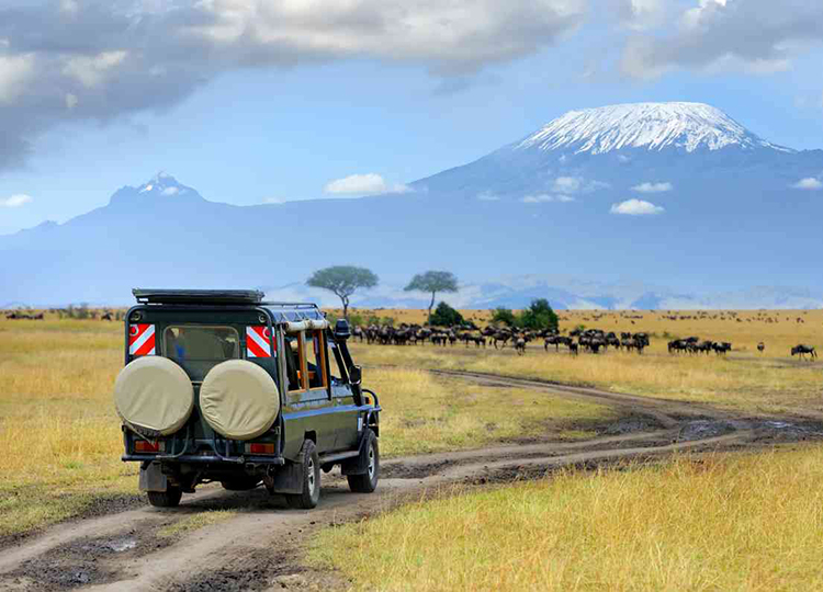 10-days-kenya-tanzania-amazing-wildlife-safari-1