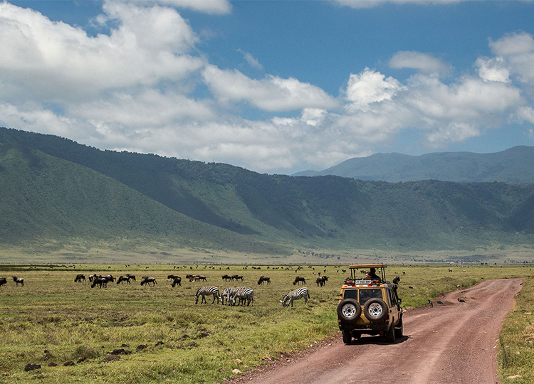 10-days-kenya-tanzania-amazing-wildlife-safari-3 10-days-kenya-tanzania-amazing-wildlife-safari