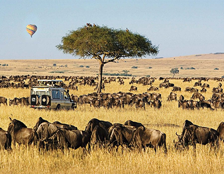 10-days-kenya-tanzania-amazing-wildlife-safari