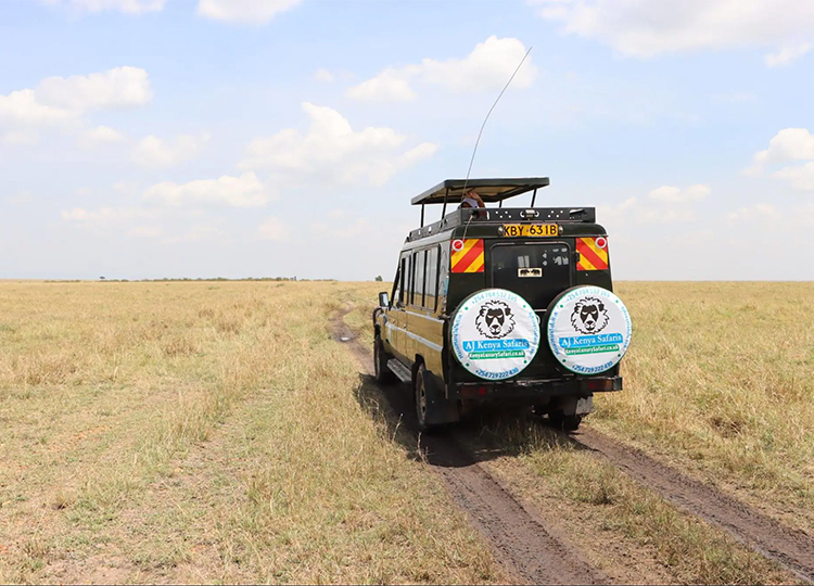 12-days-kenya-tanzania-wildlife-safari-3 12-days-kenya-tanzania-wildlife-safari