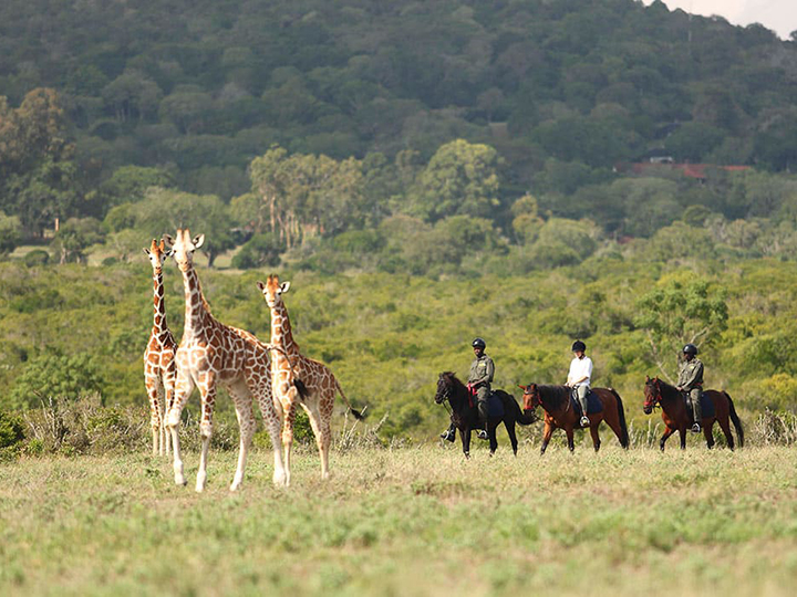 2-days-aberdare-national-park-safari-1