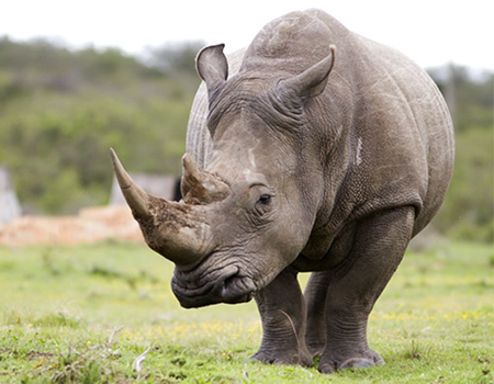 2-days-aberdare-national-park-safari