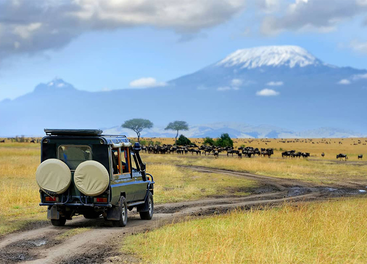 3-days-masai-mara-game-reserve-safari-2 3-days-masai-mara-game-reserve-safari