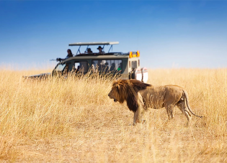 4-days-lake-naivasha-masai-mara-game-reserve-safari-1 4-days-lake-naivasha-masai-mara-game-reserve-safari