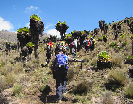 4-days-mount-kenya-climbing-chogoria-sirimon-route