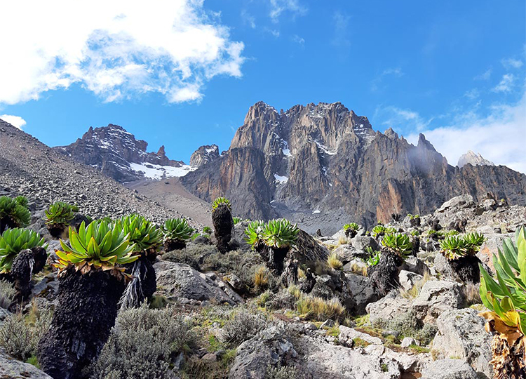 4-days-mount-kenya-climbing-naro-moru-route-1 4-days-mount-kenya-climbing-naro-moru-route