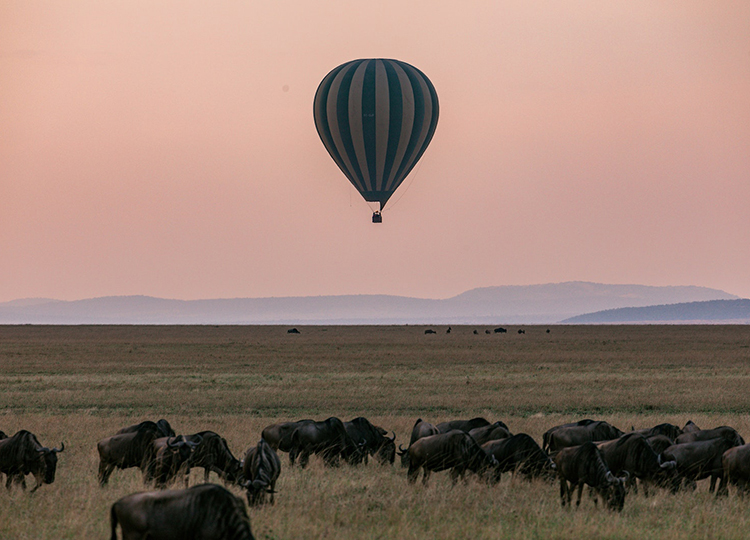 5-days-amboseli-lake-naivasha-masai-mara-safari-2 5-days-amboseli-lake-naivasha-masai-mara-safari