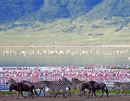5-days-lake-manyara-ngorongoro-crater-serengeti-safari