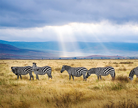 5-days-lake-manyara-ngorongoro-crater-tarangire-safari