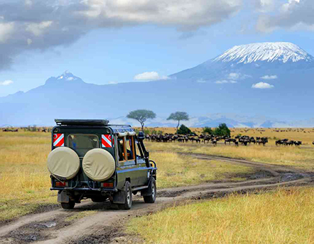 7-days-amboseli-lake-nakuru-masai-mara-safari