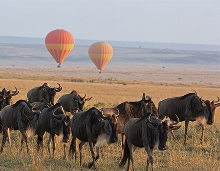 7-days-lake-manyara-serengeti-ngorongoro-tarangire-safari