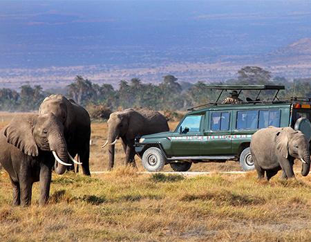 7-days-lake-nakuru-masai-mara-serengeti-ngorongoro-crater-safari-1 7-days-lake-nakuru-masai-mara-serengeti-ngorongoro-crater-safari