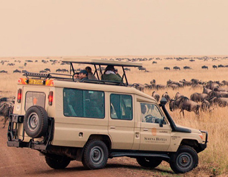 7-days-lake-nakuru-masai-mara-serengeti-ngorongoro-crater-safari