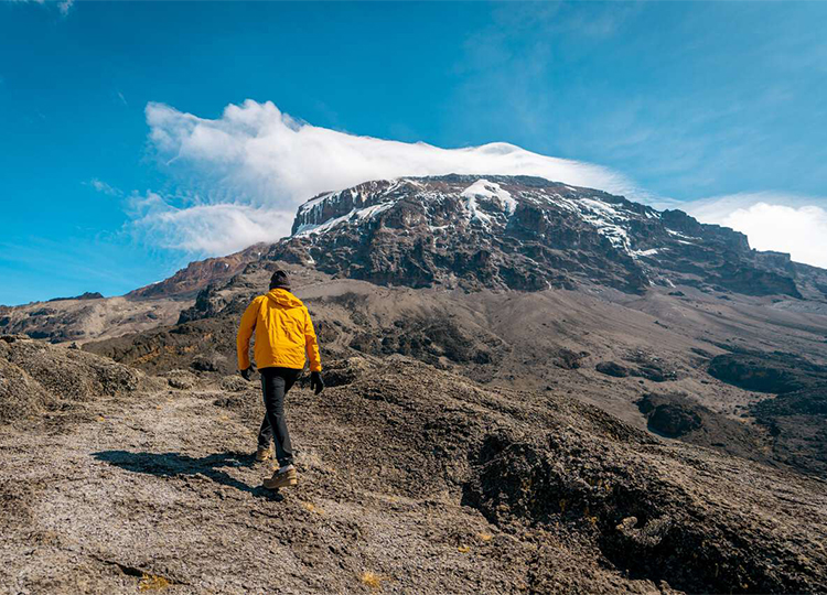 7-days-mount-kilimanjaro-climbing-lemosho-route