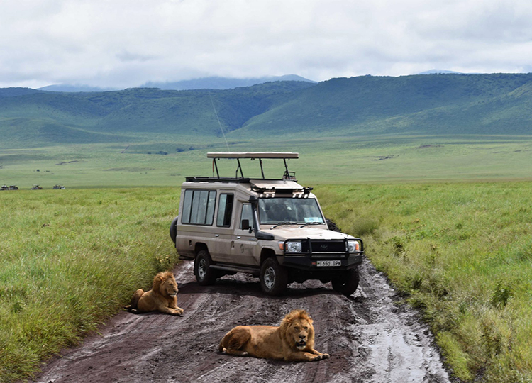 8-days-masai-mara-lake-nakuru-serengeti-ngorongoro-crater-safari-3 8-days-masai-mara-lake-nakuru-serengeti-ngorongoro-crater-safari